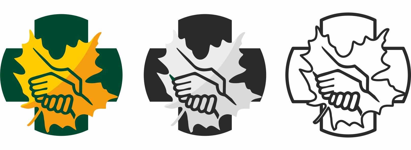 Logo of Organization